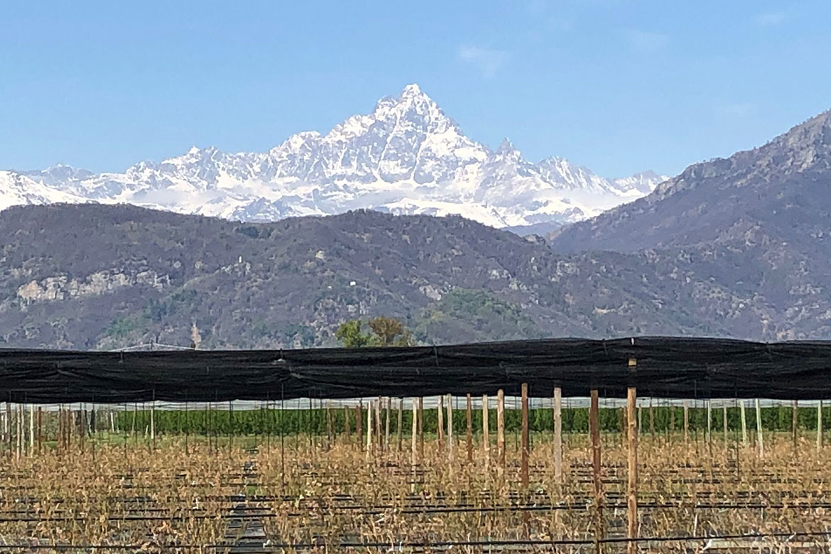 rgf-piemonte
